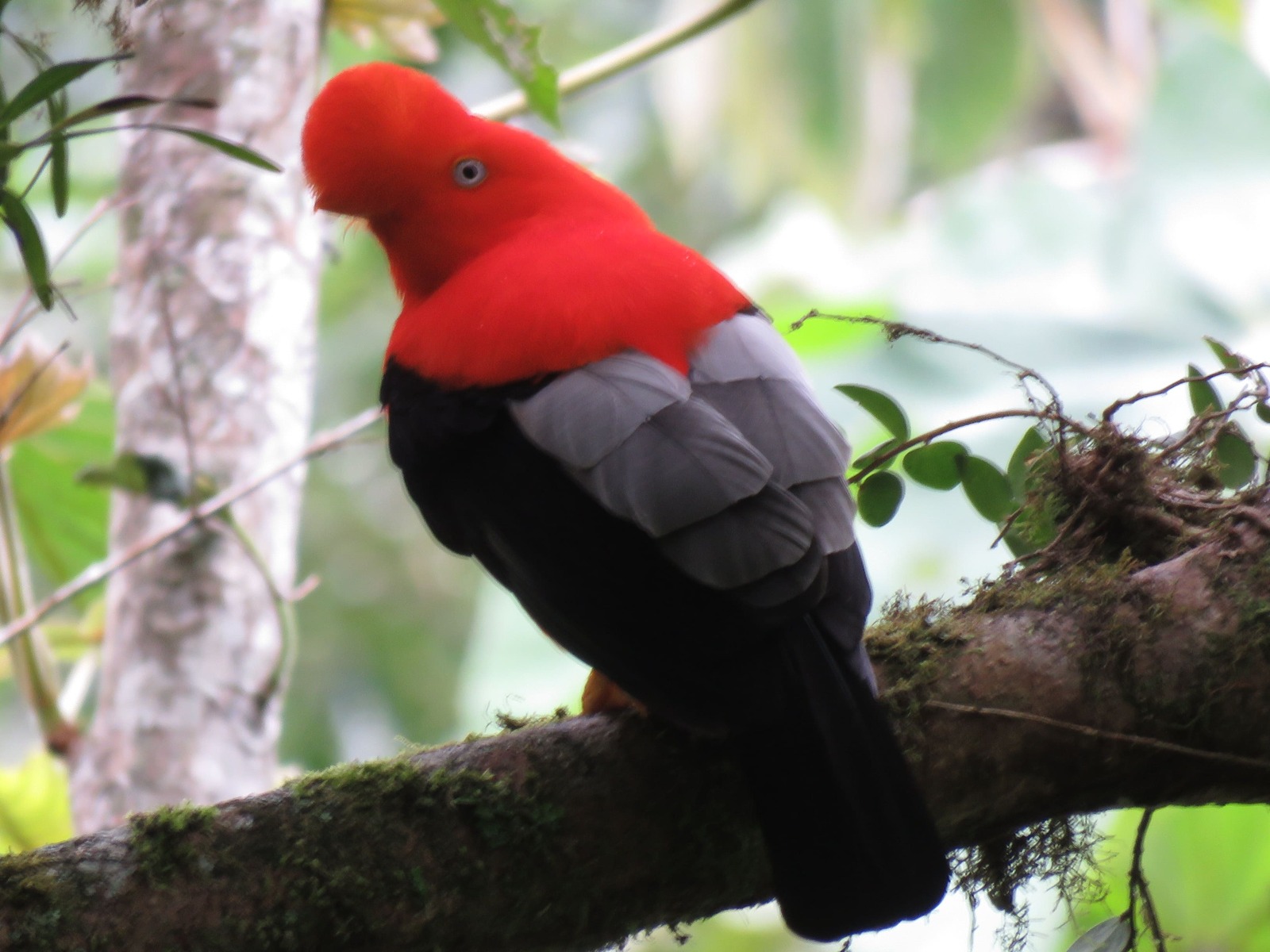 Ecomanu Expedition 9